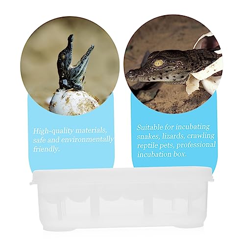 LIOOBO Egg Incubator for Reptile Lizard and Gecko Breeding Box 12 Grids Easy to Use