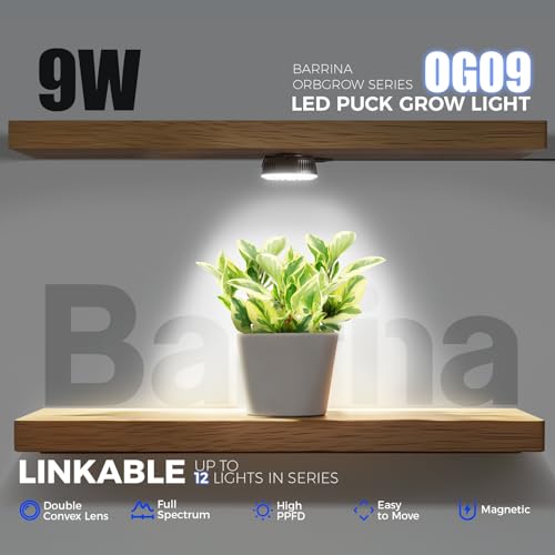 Barrina Orbgrow OG09 Puck Grow Light, 9W 5000K, 1 Pack, Black | Full Spectrum Plant Light for Indoor Plants, Magnetic & Linkable, Small Grow lamp, Perfect for Plant Shelf - color: 5000K-Black Cover, size: 1 Pack without Timer