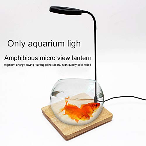 LED Aquarium Light for Under 5 Gallon Fish Tank 10W Full Spectrum | 360 Degree Small Aquarium Light LED Light with Bamboo Board Nano Fish Tank & Terrarium Light for Plant Growth USB Powered - size: 10w l / 10.62x11.22inch