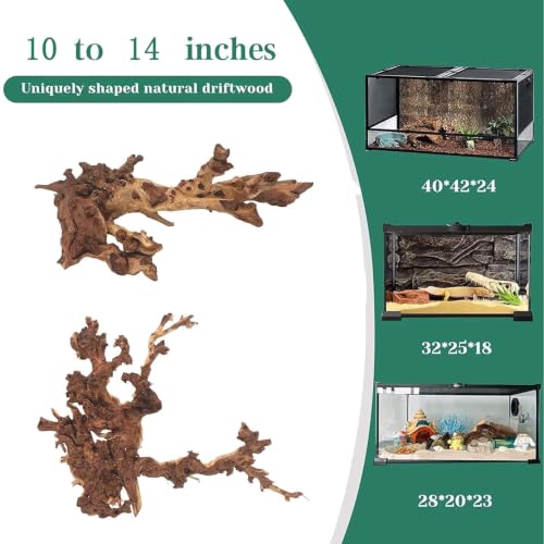 PINVNBY Natural Large Driftwood for Aquarium Fish Tank Decorations, Driftwood for Reptile Tank Bearded Dragon Tank Accessories Terrarium Decor (10 to 14 inches / 2 Pack) - size: L:Mopani Driftwood (10 to 14 inches/2 Pack)