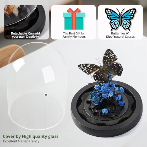 Handmade Butterfly Specimen Boxes Glass Cover Ornaments | Dried Flowers, Plants, Holiday Decorations Birthday Gift for Women - color: Dichorragia