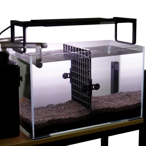 LINLAN Aquarium 10 Pieces Divider Suction Cup Clips, Glass Fixing Clips, Plastic Mesh Board Isolation Holders for Fish Tank (White-Translucent) - color: White-Translucent