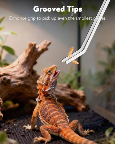 Pawfly 2 Pack 11" Long Reptile Feeding Tweezers, Straight & Curved Stainless Steel Reptile Feeding Tongs, Safe Feeder Tool for Lizard, Bearded Dragon, Gecko & Snake