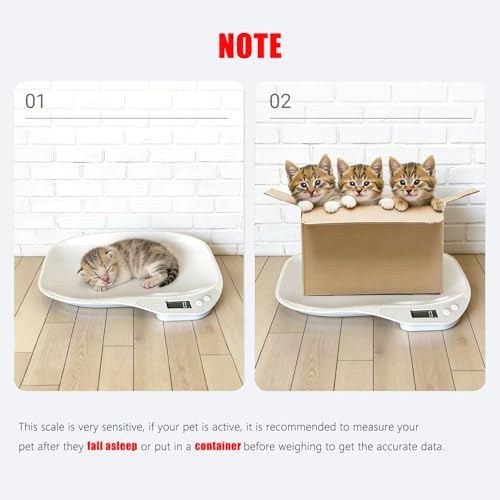 Small Animal Digital Scale, 14" x 10" Pet Weighing Scale Max 33lbs | Small Pet Scales for Weighing with LCD Display, Hamster Kitten Puppy Scale, Electronic Kitchen Food Scale, for Newborn Pets