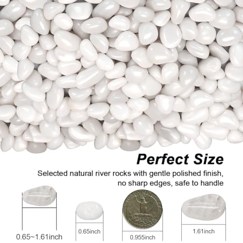 Succulent Rocks,Virekm River Rocks,Decorative Ornamental Pebbles | Garden Landscaping Stones,Gravel Filler for Home Decoration Flower Bed Fish Tank Plants Vases Succulents ( White, 2 Pounds) - color: White, size: 2 Pounds