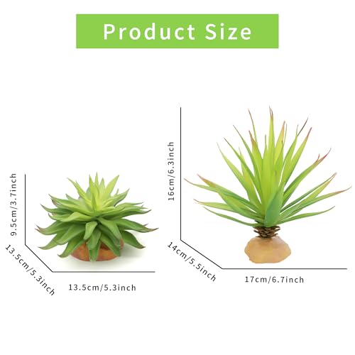 JIHAQUA Reptile Terrarium Decor 2-Piece Realistic Succulent Set | Lifelike Plastic Plants, For Geckos, Bearded Dragons, Snakes, Turtles, Lizards, Insects, Reptile Habitats - color: Green