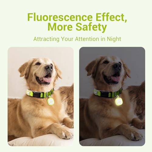 Pawaii Glow in The Dark Dog ID Tag, Silent Silicone, QR Scan Alerts, 1 Pack | Updatable online profile, emergency contacts, no app, no subscription, lost pet recovery, night walks, collar friendly - color: Light Green