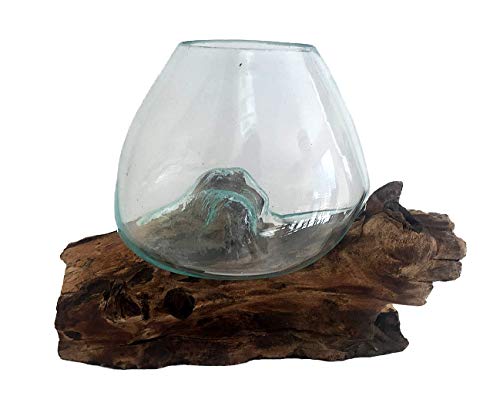 OMA Molten Glass on Driftwood – Hand Blown Vase, Terrarium, or Planter Centerpiece for Coastal & Boho Home Décor (7" – 9" High) - size: 7" - 9" High