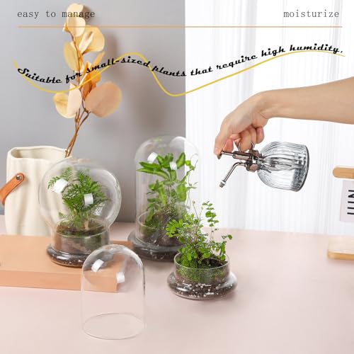 WHJY 8 inches Glass Cloche for Indoor Plants Small Terrarium Glass Cloche with Base Mini Cloche Dome with Base for Display Home Decor - size: 8"