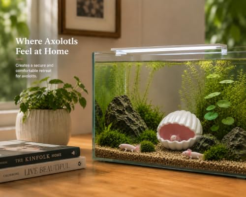Ceramic Axolotl Hide Cave Hideout Tank Accessories Aquarium Decor for Pets | Hollow shaded resting spot、Weighted base, stays put、Fade-resistant glaze finish - size: Small