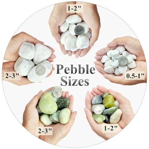 FANTIAN 10 lbs White Gravel for Aquarium, 2-3 Inch Large Pebbles for Planters, Decorative River Rocks for Plants Indoor, Landscaping, Vases, Fish Tank, Crafting and Garden - color: White, size: 10 lbs, 2-3 Inch