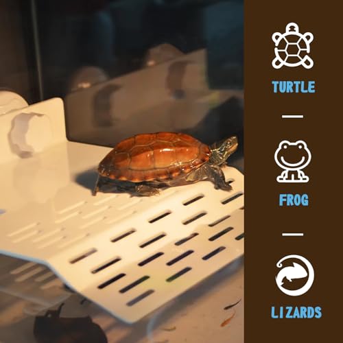 SHIGATSU 2IN1 Turtle Basking Platform Suction Cup for Turtle Tank Habitat | PP material safe plastic food bowl feeder amphibians frogs tortoises aquarium fish tank basking area sunning dock