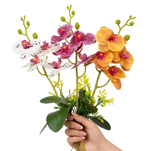 5 Pcs Reptile Plants & Habitat Decor Kit - 3 Artificial Phalaenopsis Orchid & Large 5ft Jungle Vine Branch, Terrarium Tank Decor & Climbing Accessories for Crested Gecko, Bearded Dragon - color: Phalaenopsis Orchid