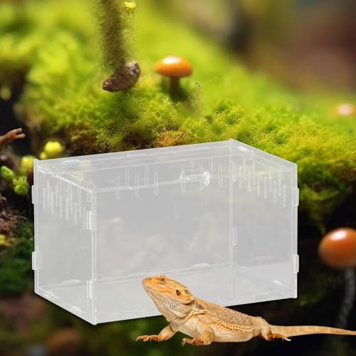 Reptile Breeding Box Acrylic Terrarium Container with Ventilation Holes for Snakes Turtles Chameleons Frogs Geckos Small Animal Habitat- 25x15x15cm