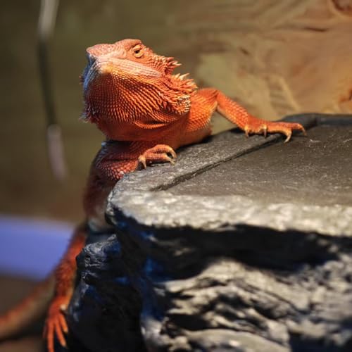 X-Large Bearded Dragon Basking Platform, Lizard, Snake or Reptile Hide with Heat Storage Slate Stone, 13x12x5 Inch Oversized Gecko Hide Cave - size: XL / 13x12x5 Inch