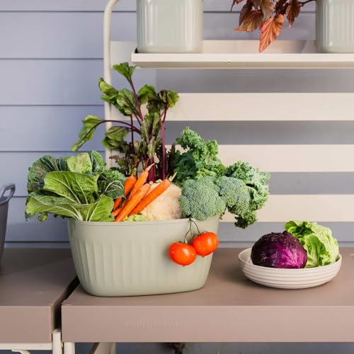 Vego FlexTrug Flexible Plastic Tub for Indoor, Outdoor Gardening, Multipurpose Garden Tubs - 4 Gallon Tub, Sage Green - color: Sage Green, size: 4 Gal