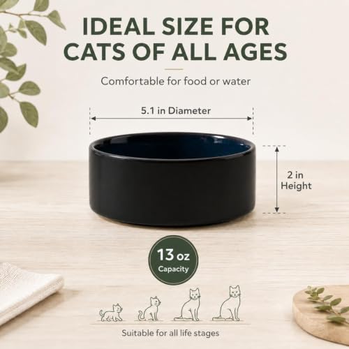 Havniva Cat Bowls Set of Two, 5.1” Ceramic Cat Food and Water Bowls | Cat Food Bowls Whisker Friendly, Non-Slip Base, Food-Grade Ceramic, Wide Opening, Dishwasher Safe, Cat Bowls for Indoor Cats - color: Starry Sky, size: 2 Bowls - 5.1"