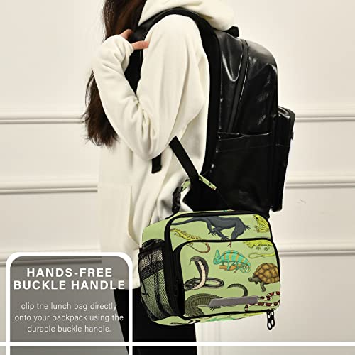 Snakes Lizard Chameleon and Turtle Animal Lunch Bag, Cooler Lunch Tote Box Insulated Lunch Bags Food Container for Men Women Kids