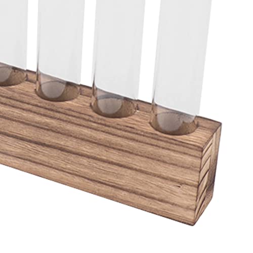 Pssopp Plant Propagation Station Glass Test Tube Plant Terrarium with Wooden Stand for Home Decor Office Living Room Garden (6 Tubes) - size: 6 Tubes