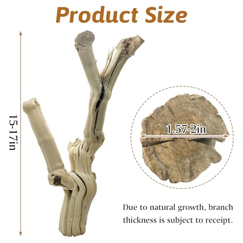 Reptile Branches for Climbing Natural Snake Climb Branch Extra Large Wood Forest Tree Trunk Decor Lizard Habitat Terrarium Decorations for Bearded Dragon Geckos Chameleon Frog - color: Wood, size: 15 - 17 inches