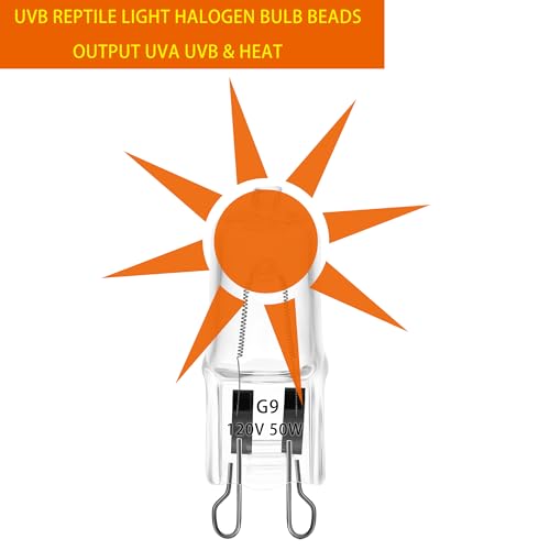 6 Pack UVA UVB Reptile Light Halogen Bulbs Beads Heat Lamp (50 Watt) Clear