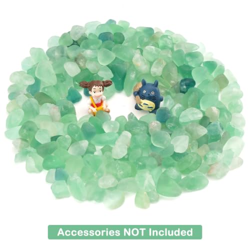 WAYBER Natural Crushed Green Fluorite Gemstone, Decorative Pebbles, 2 Lbs | Toxin-Free, Fade-Resistant, Ideal for Reiki Healing, DIY Crafts, Vase Filler, Aquarium & Bonsai Decoration - color: Green Fluorite, size: 2 Pounds