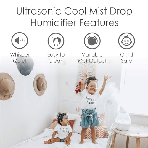 Crane Ultrasonic Cool Mist Humidifier for Bedroom, Baby Nursery, Kids Room, Plants, or Office, Large 1 Gallon Tank, Filter Optional, Clear and White - color: Clear & White
