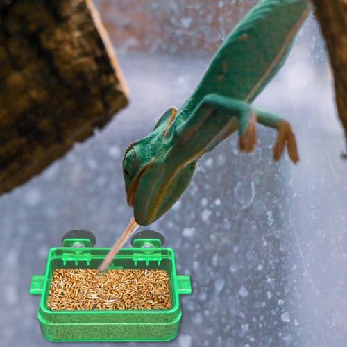 Reptile Suction Cup Feeder 2 Pack, Anti-Escape Food Bowl | for Gecko Lizard Iguana Chameleon Spider Frog Snake, Wall Mount Strong Suction Feeding Dish (Green, S)