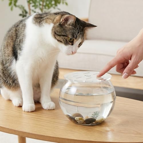 Round Clear Tank Lid - Round Acrylic Aquarium Lid - 5.12" Tank Protective Cover - Replacement Accessories for Fish Bowl Terrarium - size: 13.00X13.00X0.30CM