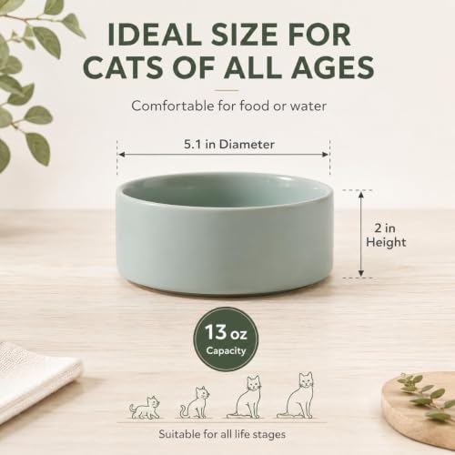Havniva Cat Bowls Set of Two, 5.1” Ceramic Cat Food and Water Bowls | Cat Food Bowls Whisker Friendly, Non-Slip Base, Food-Grade Ceramic, Wide Opening, Dishwasher Safe, Cat Bowls for Indoor Cats - color: Light Green, size: 2 Bowls - 5.1"