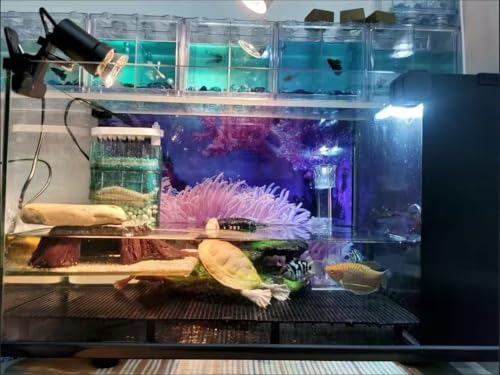 10pcs Plastic Egg Crate Grip Bottom Fish Tank Isolation Board Egg Crate Tray Panel Fish Tank Divider 60pcs Aquarium Board Support Kits - size: 8pcs 11.8X5.9 Inch and 60pcs support feet