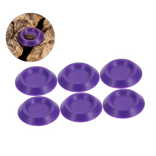 Toyvian 12pcs Plastic Reptile Feeding Bowls Nontip Base and Hygienic Design, Small Animal Food Dish for Reptile Terrarium and Travel Use, Purple Color