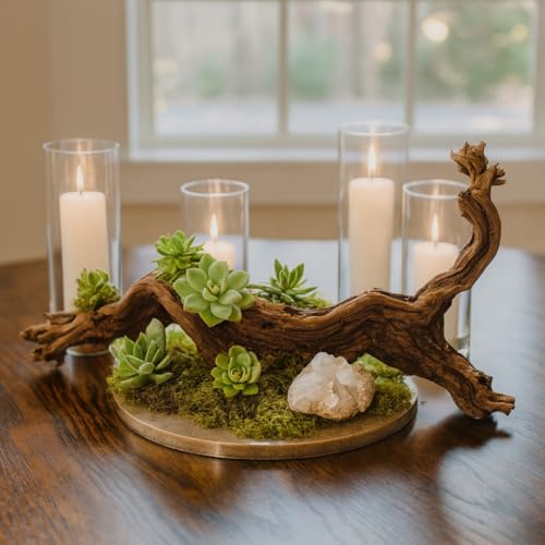 Koyal Wholesale 18" Grapevine Wood Exotic Untreated Grapewood Branch for Reptiles, Wedding Centerpieces & Rustic Table Decor DIY Sandblasted Grapevine Branch - size: 18" Grapevine