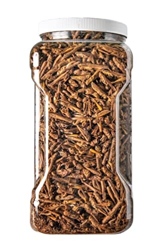 Grasshoppers- Freeze Dried Grasshoppers, Great for Reptiles, Turtles, Tortoises, Hamsters, Rodents, Birds, Large Tropical Fish - Small Jar 2oz - size: 2 Ounce (Pack of 1)