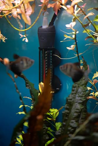 Marineland Precision Heater for Saltwater or Freshwater Aquariums - size: 150-watt