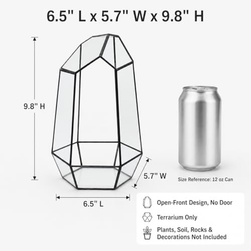 No-Door Glass Terrarium Planter for Succulents, Cactus & Moss | Black geometric glass container for small plant displays; plants/decor not included; best for dry or lightly misted setups. - size: Large Irregular