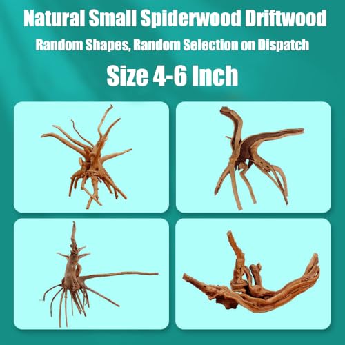6 Pcs Natural Small Spiderwood Driftwood, 4-6 Inch Assorted Branches Aquarium Fish Tank Reptile Terrarium Landscape Decor - color: Spiderwood Driftwood 4 - 6IN