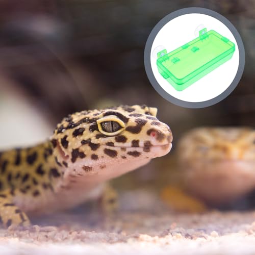 Toddmomy Escape-Proof Reptile Feeding Box and Reusable Lizard Food Dish, Small Green Reptile Water Bowl for Geckos, Bearded Dragons, and Lizards, 2pcs Set for Terrarium Use
