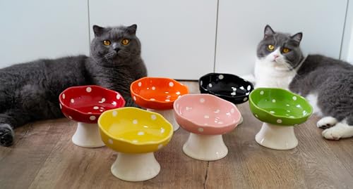 Green Mushroom Cat Bowl, Elevated Ceramic Bowl for Cats | Elevated, Ceramic, Whisker Friendly, Wide Opening, Anti Vomiting - color: Green