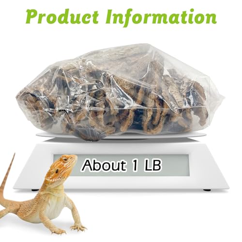 Reptile Cork Bark Bulk 1 Lb Reptile Bark Bedding Natural Flat Cork Wood Pieces Terrarium Substrate Tank Supplies for Bearded Dragon Snake Spiders Hermit Crabs Geckos Tortoise