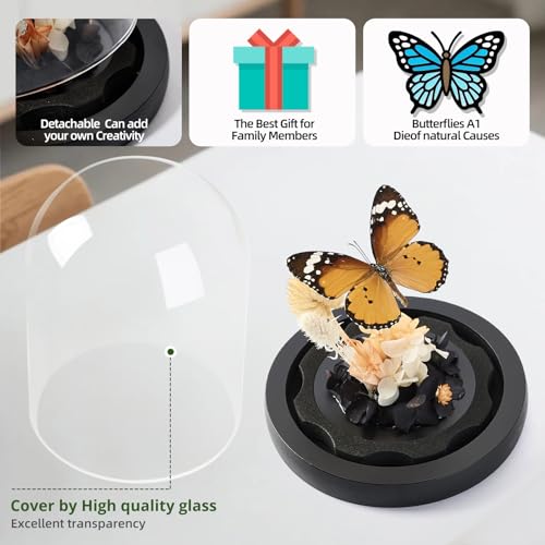 Handmade Butterfly Specimen Boxes Glass Cover Ornaments | Dried Flowers, Plants, Holiday Decorations Birthday Gift for Women - color: Plain Tiger