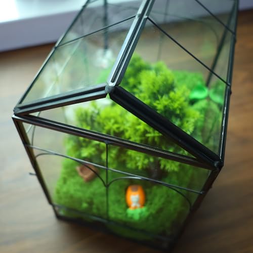 Geometric Plant Terrarium with Lid (Black with Side Door) | House Succulent Terrarium Kit for Succulents Cacti Snail, Home Tabletop Miniature Terrarium - color: Black with side door