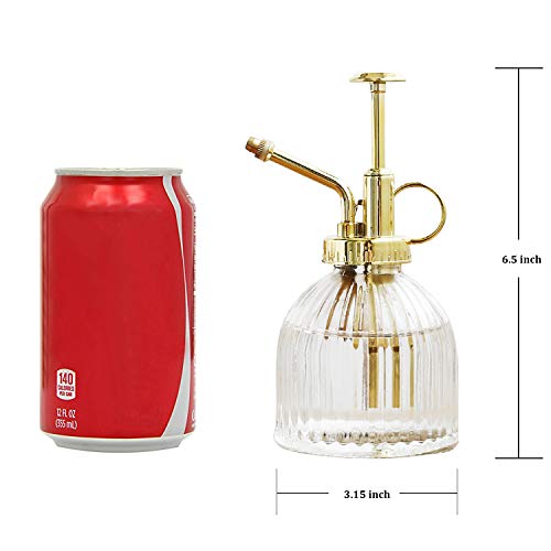 Glass Plant Mister Spray Bottle, Vintage Plant Water Spritzer, Succulent Watering Bottle with Gold Top Pump, Decorative Glass Sprayer Mister Small Watering Can for Indoor Houseplant - Clear - color: Clear+Gold S