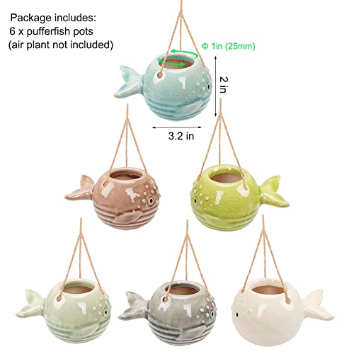 6 Pack Air Plant Holder Unique, Cute Pufferfish Air Plant Hanger Wall Planter, Ceramic Tillandsia Airplants Holders Hanging Wall Decor for Home Office (Pufferfish-Small (3.2 x 2 in)) - size: Pufferfish-Small (3.2 x 2 in)