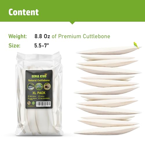 Sepia King - Large - Cuttlebone for Birds, Tortoises, Snails, Reptiles 5.5-7" - 8.8oz - 100% Natural Calcium Supplement, Food and Toys for Parakeets, Turtles