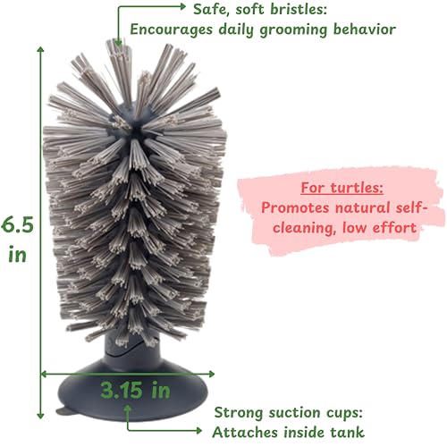 Turtle Shell Cleaning Suction Brush Tank, Turtle Scratcher for Tank Shell Cleaner with Suction Cup and Handheld Back Scratcher Remove Mud Dirt, Tortoise Habitat Accessories (Gray) - color: Gray