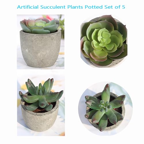 Artificial Succulent Plants Set, Low Maintenance Home Office Decor | Realistic faux succulent set, no water or sun. For desk, shelf, office, living room. Great gift for plant lovers.