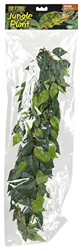 Exo Terra Silk Terrarium Plant, Large, Ficus - color: Multi Color, size: Large
