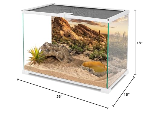 AWERT Reptile Habitat Background Blue Sky Oasis Cactus Sun and Desert Terrarium Background 36x18 inches Durable Polyester Background - size: 36x18 inches