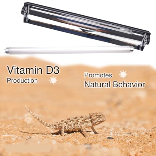 T8 UVB Reptile Light Kit, 15W UVB Light Fixture and 10.0 UVB Lamp Bulb Kit, for Desert-Dwelling Reptiles, Bearded Dragon UVB Light 18 inches - size: 15W UVB10.0 T8 KIT